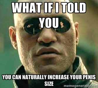 Morpheus meme claiming penis size is possible